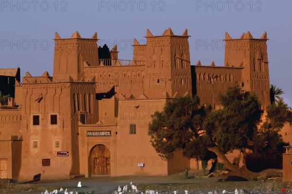 Kasbah Amerhidil in Skoura, surrounded by desert vegetation, showcases impressive traditional