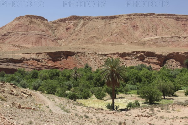 Desert landscape of Tamdakth with rocky hills and green oases, Tamdakht, Drâa-Tafilalet region,