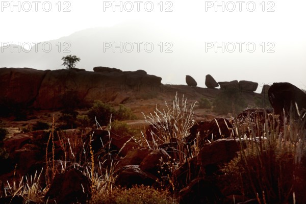 Tafraoute shows rock formations and barren landscape with lonely tree, Tafraoute, Souss-Massa