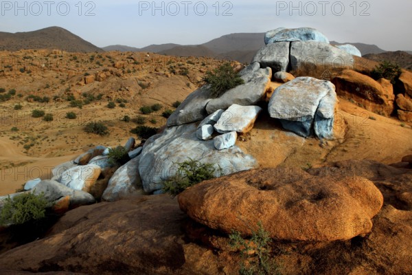 Color accents on the sparsely vegetated hills of the desert around Tafraoute, Tafraoute,