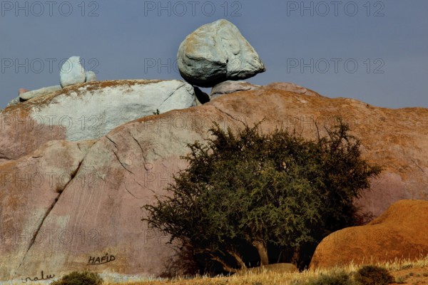 Large rock with painted areas and tree, work by Jean Verame in Tafraoute, Tafraoute, Souss-Massa,