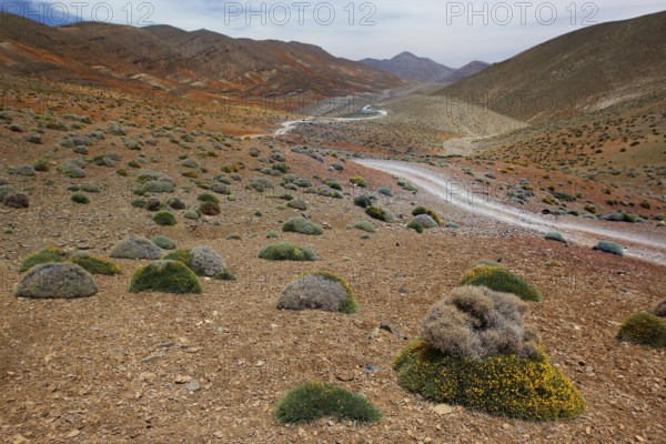 View of a valley with a serpentine road in a rocky, barren area, Tizgui n'Ouadda, Morocco