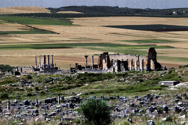 Basilica and Capitol of Volubilis surrounded by ruins and vast fields. The ancient structures rise