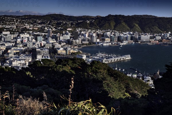 View from Mount Victoria Lookout over Wellington, the harbor and surrounding hills, Wellington, New