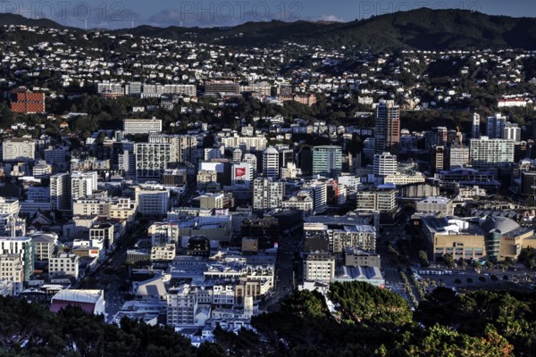 View of Wellington from Mount Victoria Lookout with residential buildings and surrounding green