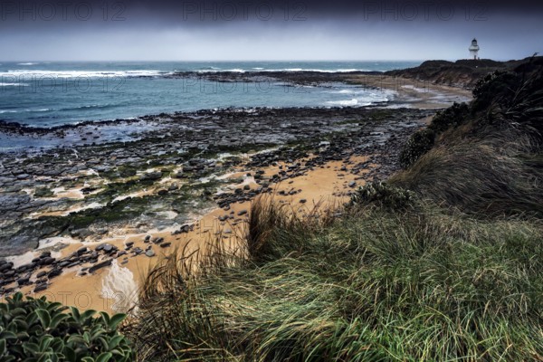 Coastal landscape at Waipapa Point with lighthouse and wave-swept beach, Waipapa Point, Southland,