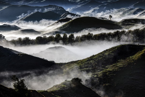 Morning fog over rolling hills in Tongariro National Park with mystical flair, Tongariro National