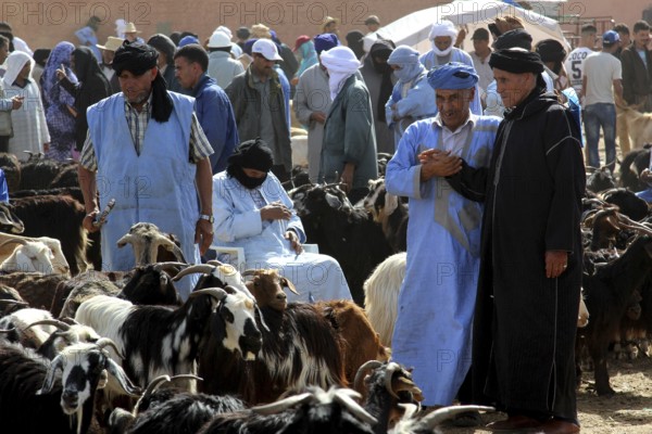 People trading in traditional clothing at a cattle market, Guelmim, Guelmim-Oued Noun, Morocco