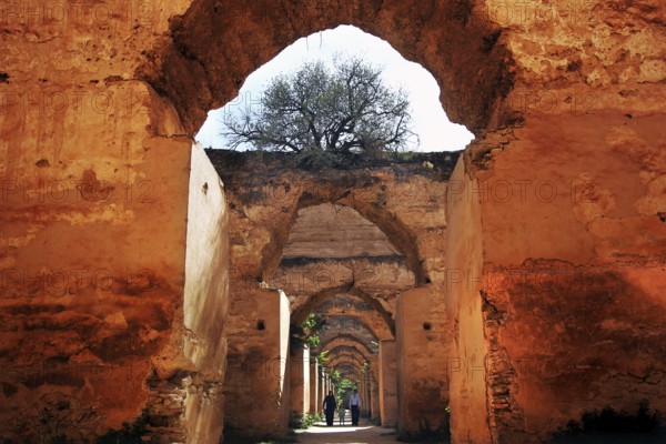 Historic brick arches lead the gaze into the distance, a tree in the background, Meknes,