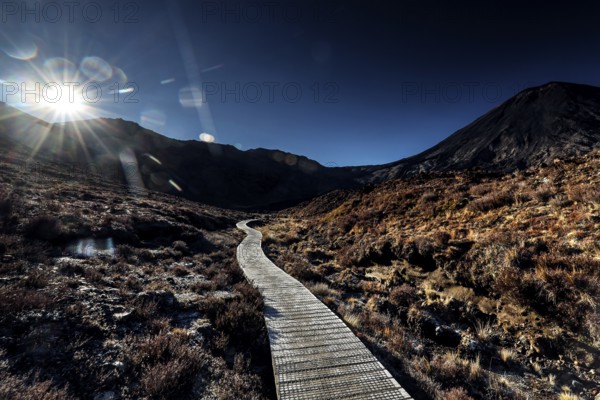 Timber trail through alpine landscape with bright sunshine in Tongariro National Park, Tongariro