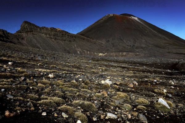 View of the barren landscapes of Mount Tongariro, Tongariro National Park, North Island, New