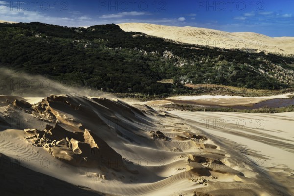Extensive sandy landscape with blowing sandstorm and green vegetation, Ninety Mile Beach, Te Paki,