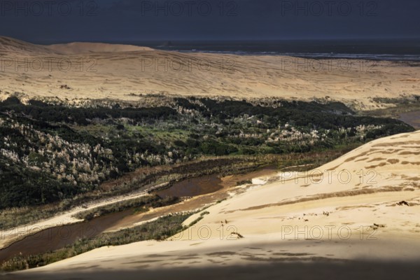 View of rolling sand dunes with strips of vegetation and wide horizons, Ninety Mile Beach, New