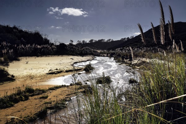 Small river meanders through a sandy landscape with thick vegetation