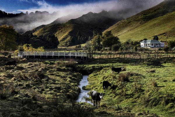 View of a picturesque landscape with river and bridge along the Forgotten World Highway in New