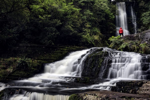 McLean Falls in a thick forest with running water and surrounding vegetation, Jackson Bay,