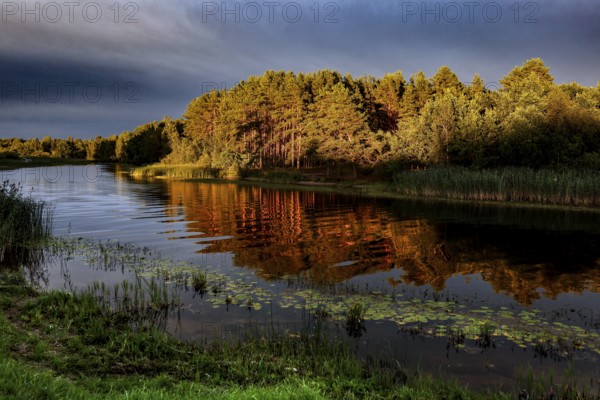 Shimmering golden trees are reflected in the calm water of a river, creating a peaceful atmosphere,
