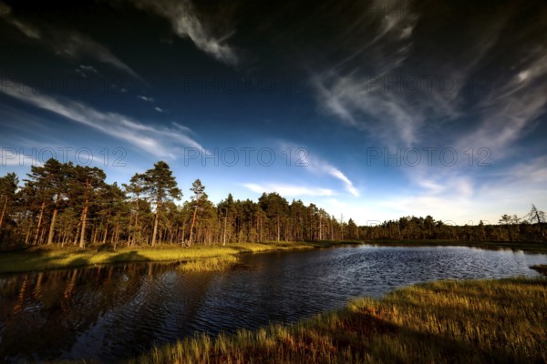 Viru moor in Lahemaa National Park with vast expanses of water and bright skies, Lahemaa National