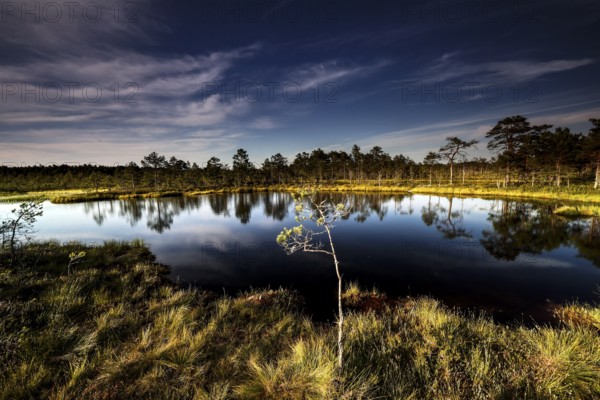 Viru moor in Lahemaa National Park with calm water and green surroundings, Lahemaa National Park,