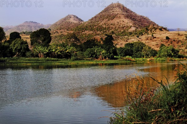 River with mountains in the background and trees on the banks of the Nile Valley, Tisissat, Nile