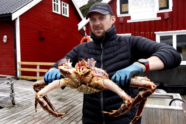 Man holding huge king crab standing outside near red buildings, Sarnes, Norway