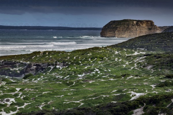 Rugged coastline with green hills and ocean cliffs on Kangaroo Island, Seal Bay, Kangaroo Island,