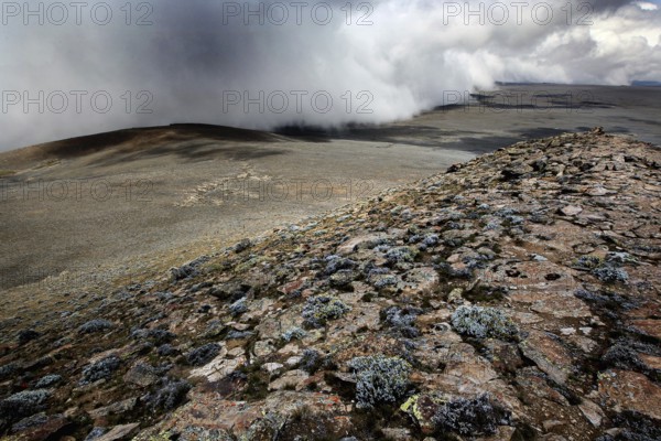 View from Tulu Dimtu with dramatic cloudy sky and wide landscape, Bale Mountains, Sanetti Plateau,