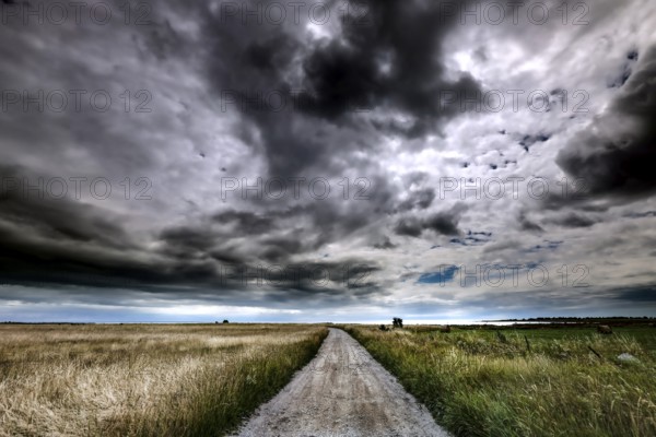Dramatic clouds over a straight road through Vilsandi National Park, Vilsandi National Park,