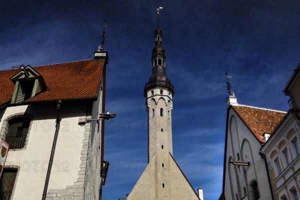 Tallinn Gothic Town Hall with distinctive tower and historic ambiance, Tallinn, null, Estonia