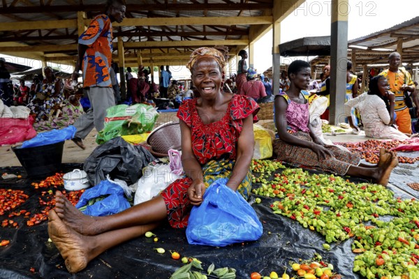 Woman sitting smiling at a market surrounded by colorful vegetables and other goods, Brobo, Côte