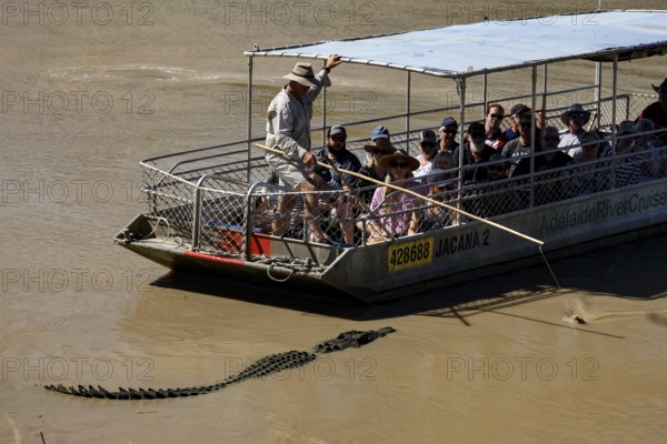 Boat trip on the Adelaide River with a crocodile swimming nearby, Adelaide River, Northern