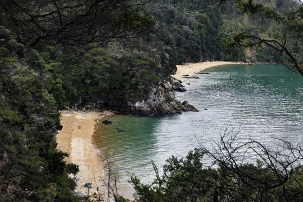 Secluded beach of the Abel Tasman Coast Track with thick vegetation, zero