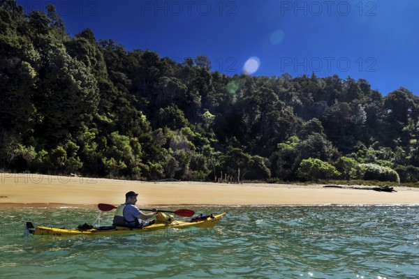 Single person kayaking in front of densely wooded beach, Stillwell Bay, Abel Tasman National Park,