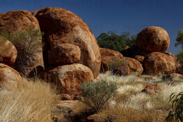 Diverse red rock formations in a sunny desert environment with natural vegetation, Devil's Marbles,