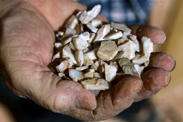 Unprocessed opalns presented in one hand, remnants of opal mining, Coober Pedy, South Australia,