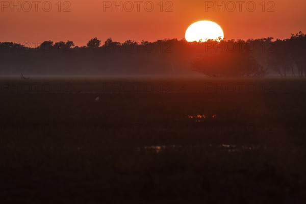 An intense sunrise turns the sky in Kakadu National Park, Kakadu National Park, Northern Territory,