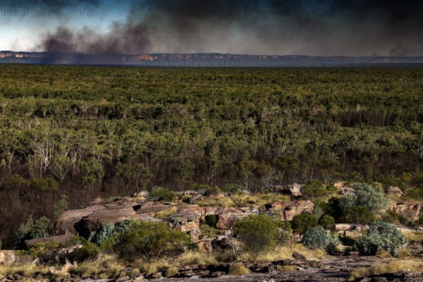 Extensive landscape with thick vegetation and smoke on the horizon in Kakadu National Park, Kakadu