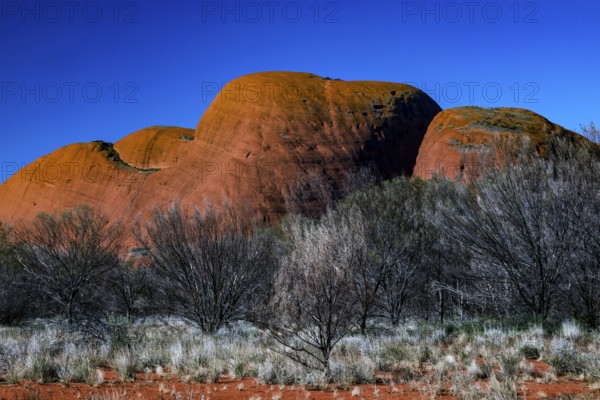 The Olgas with reddish rock formations against a clear sky, Kata Tjuta, Northern Territory,