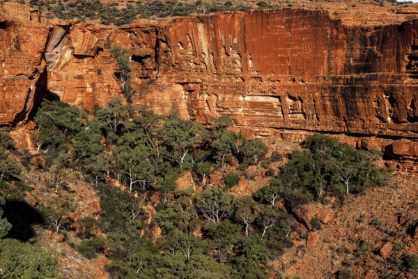 View of red rocks and vegetation in Kings Canyon of Watarrka National Park, Watarrka National Park,