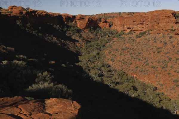 View of Kings Canyon with shady rocks and vegetation, Watarrka National Park, Northern Territory,