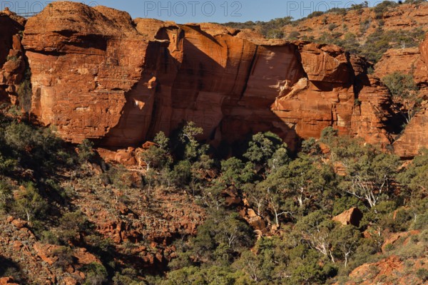 Impressive rocks of Kings Canyon with rich vegetation, Watarrka National Park, Northern Territory,