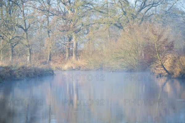 A misty river reflects trees, calm, autumnal atmosphere, peaceful scenery, river landscape with