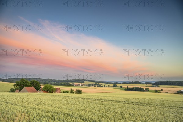 Wide fields with farmhouses under a colorful evening sky with cornfields in the foreground,