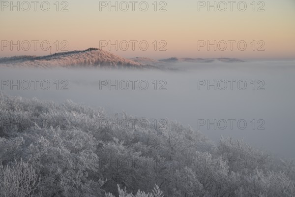 Snowy range of hills with frosty trees in the morning light, Hermannsweg an der Steinegge, Dissen