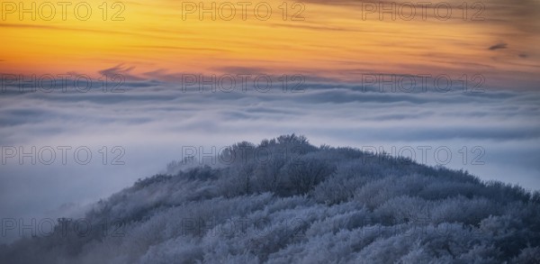 Hill at sunset surrounded by fog and frosty, snowy forest in the Teutoburg Forest, Steinegge