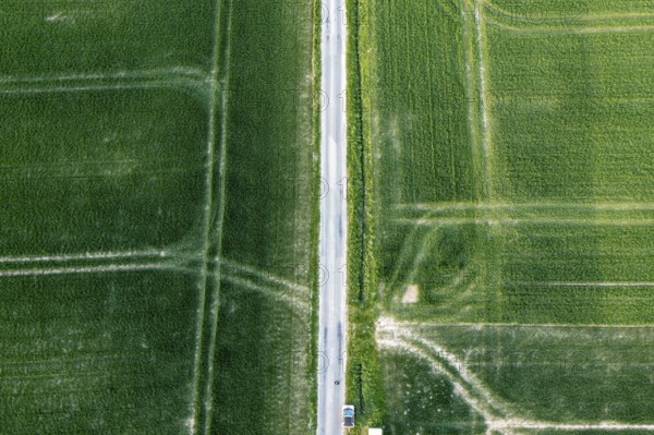 Vertical aerial view of fields intersected by a road, Osnabrücker Land, Wiehen Mountains, Lower