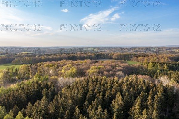 Wide forest landscape with coloured treetops under blue sky in evening light, Osnabrücker Land,