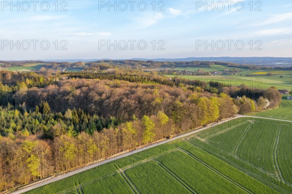 Wide landscape with forests and green fields under blue sky in spring, oblique aerial view,
