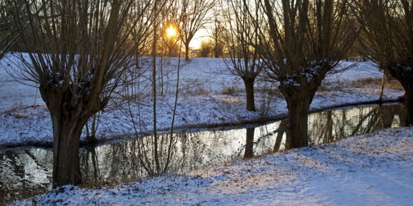 Sunrise over Lower Rhine landscape on the Aubruch Canal in winter, Moers, Wesel district, Lower
