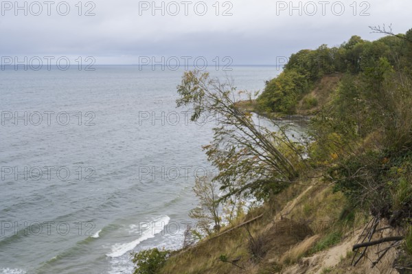 Cliff coast on Nordperd, nature reserve, Baltic resort Göhren, Baltic Sea, Rügen island,